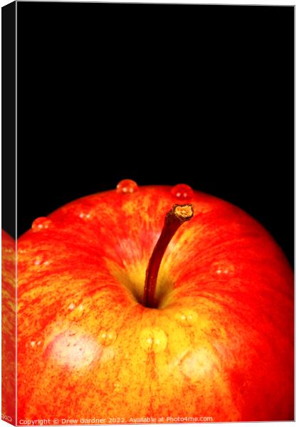 Ripe Red Apple Canvas Print by Drew Gardner