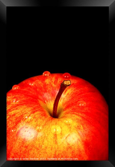 Ripe Red Apple Framed Print by Drew Gardner