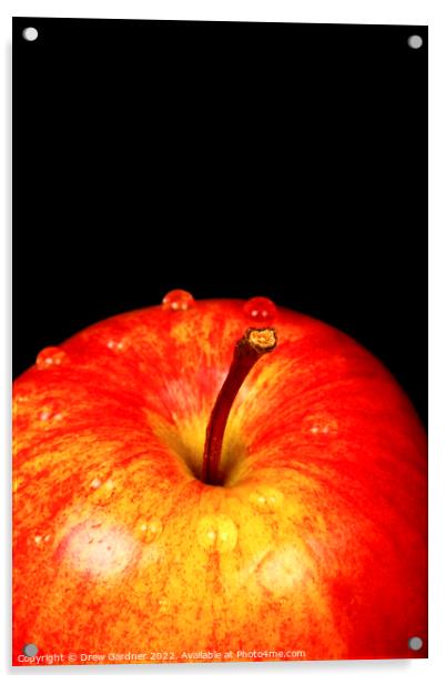 Ripe Red Apple Acrylic by Drew Gardner