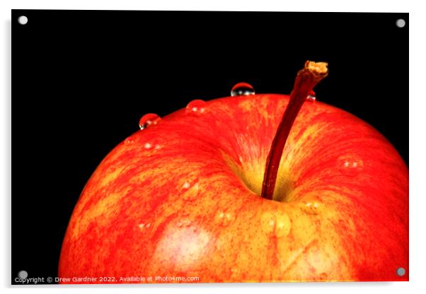 Ripe Red Apple Acrylic by Drew Gardner