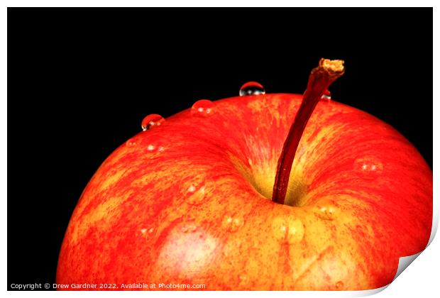 Ripe Red Apple Print by Drew Gardner