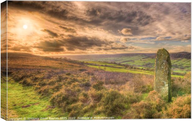 Standing Stone between, Glaisdale and Fryup Dale, North York Moors National Park.. Canvas Print by Anthony David Baynes ARPS