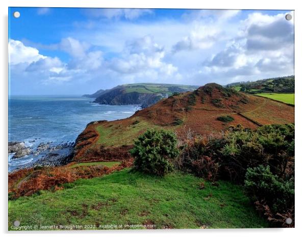 Beautiful North Devon Coastline Acrylic by Jeanette Broughton