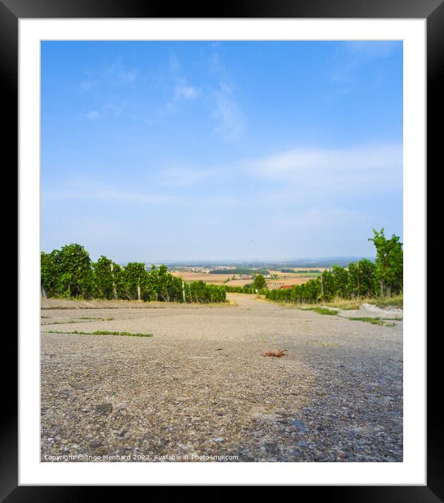 The road going between the plants to the fields with the blue sky in the background Framed Mounted Print by Ingo Menhard