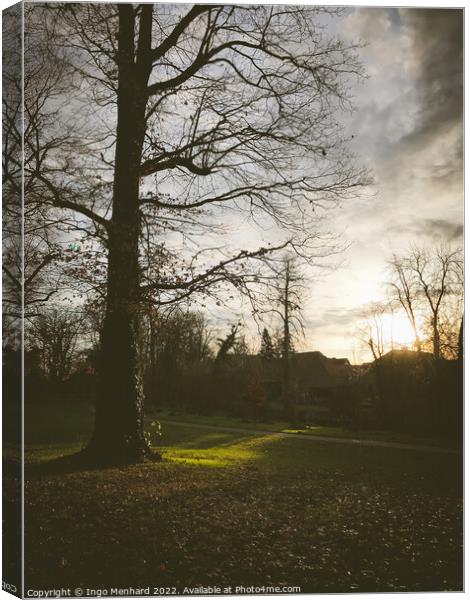 Vertical shot of a park under cloudy sky Canvas Print by Ingo Menhard