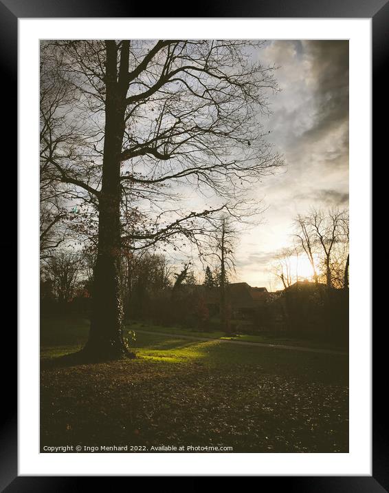 Vertical shot of a park under cloudy sky Framed Mounted Print by Ingo Menhard