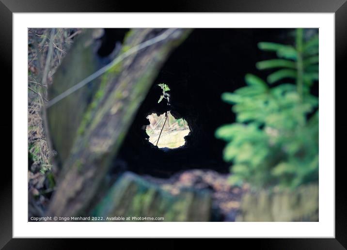 Selective focus shot of a broken hollow trunk of a tree in the forest Framed Mounted Print by Ingo Menhard