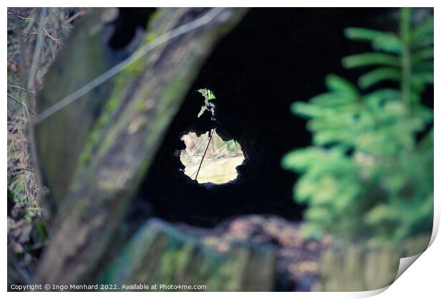Selective focus shot of a broken hollow trunk of a tree in the forest Print by Ingo Menhard