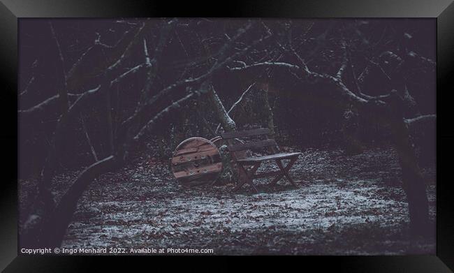 Wooden bench on the icy meadow Framed Print by Ingo Menhard