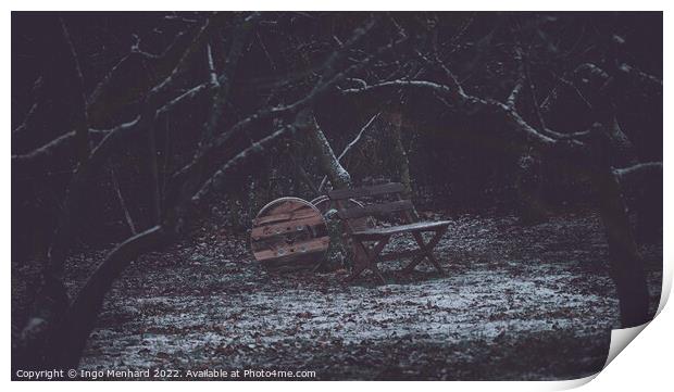 Wooden bench on the icy meadow Print by Ingo Menhard