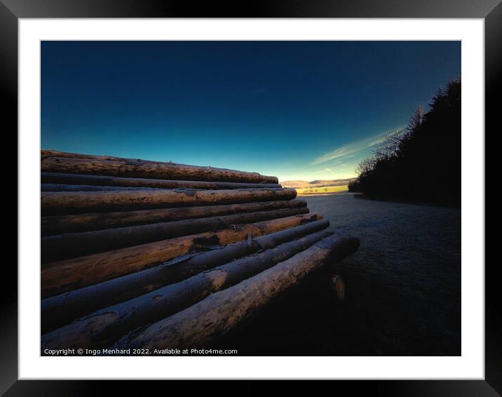 Tree trunks on a cold morning Framed Mounted Print by Ingo Menhard