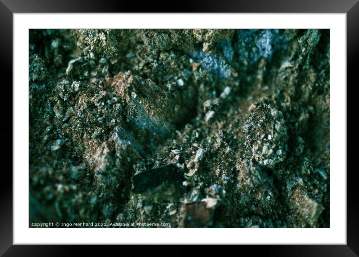 Rough cut tree trunk details Framed Mounted Print by Ingo Menhard