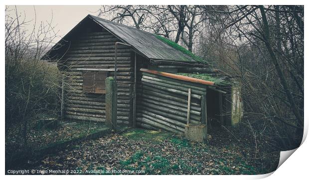 Old and weathered wooden house surrounded by trees in the woods Print by Ingo Menhard