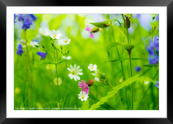 Springtime in England, I Framed Mounted Print by geoff shoults