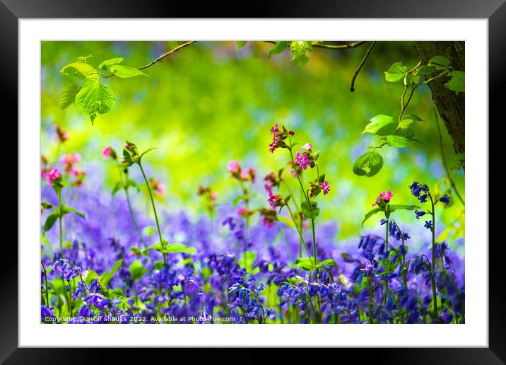 Springtime in England, II Framed Mounted Print by geoff shoults