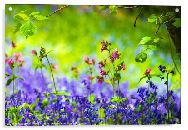 Springtime in England, II Acrylic by geoff shoults