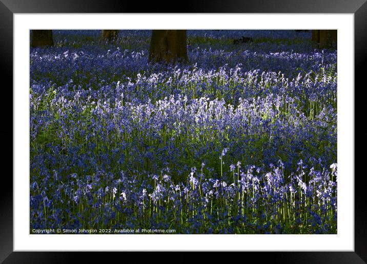 A crowd of people at a flower field Framed Mounted Print by Simon Johnson