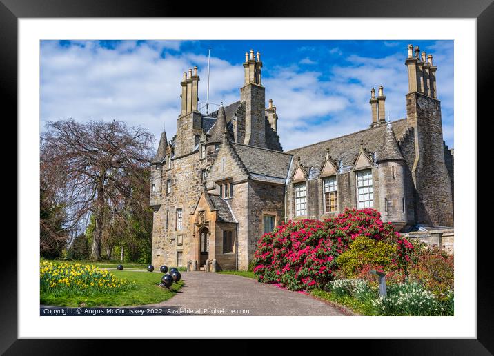 Spring flowers at Lauriston Castle, Edinburgh Framed Mounted Print by Angus McComiskey