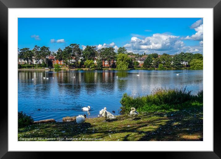 Life on the Lake  Framed Mounted Print by Jane Metters