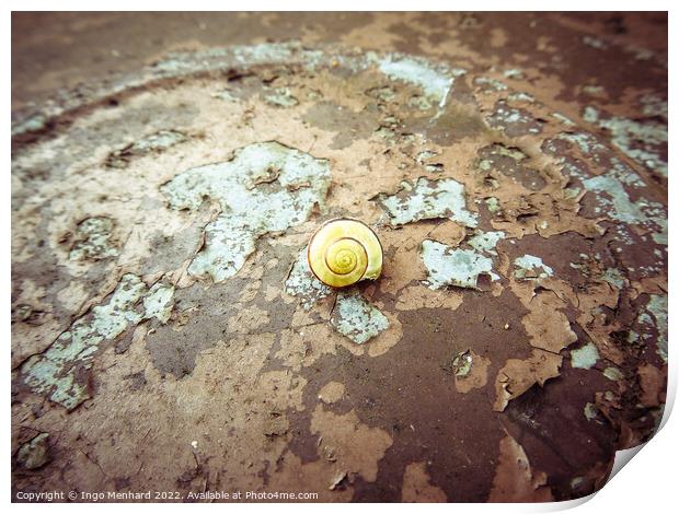 A snail on the ground Print by Ingo Menhard