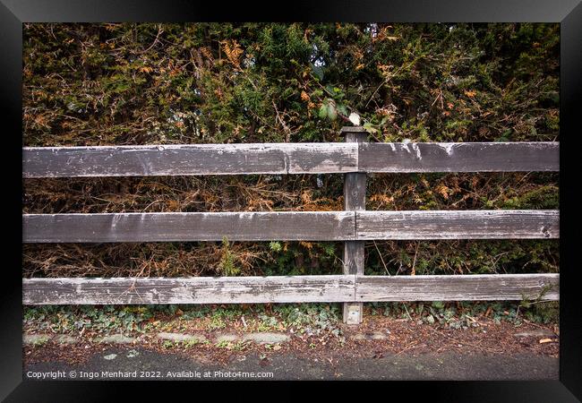 Bunch of bushes and wild plants behind a wooden fence Framed Print by Ingo Menhard