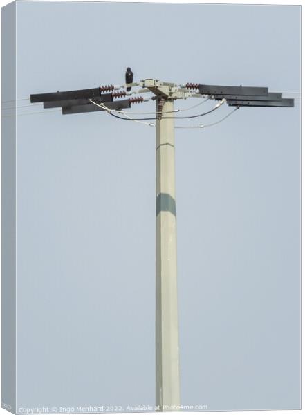 The small black bird standing on the top of the antenna with the sky in the background Canvas Print by Ingo Menhard
