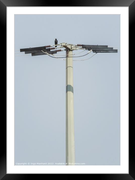 The small black bird standing on the top of the antenna with the sky in the background Framed Mounted Print by Ingo Menhard