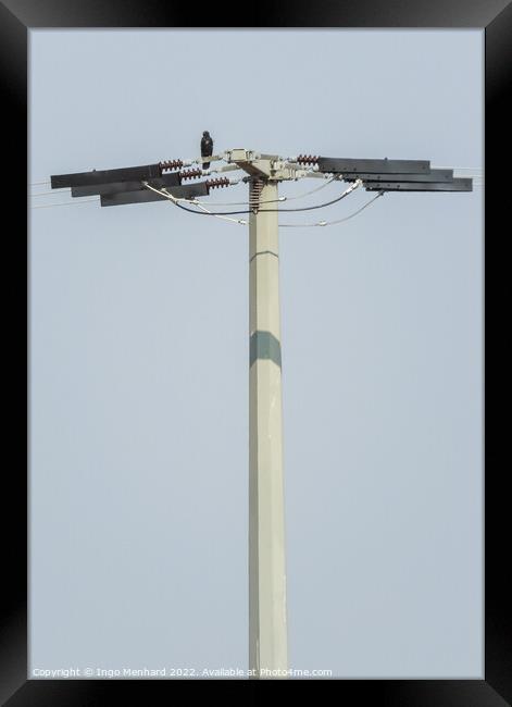 The small black bird standing on the top of the antenna with the sky in the background Framed Print by Ingo Menhard