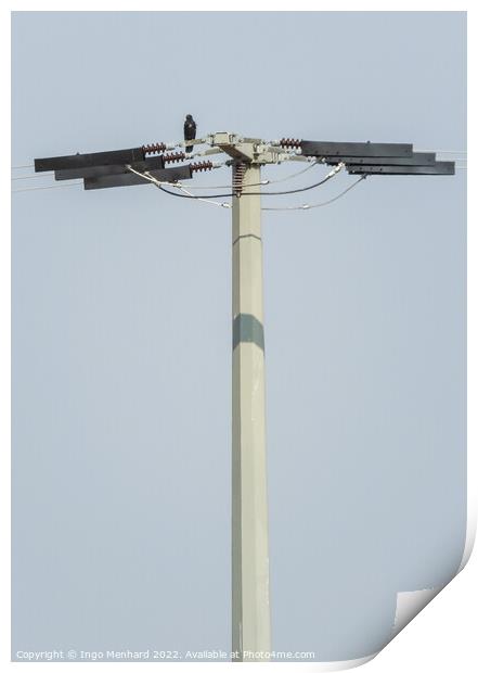 The small black bird standing on the top of the antenna with the sky in the background Print by Ingo Menhard