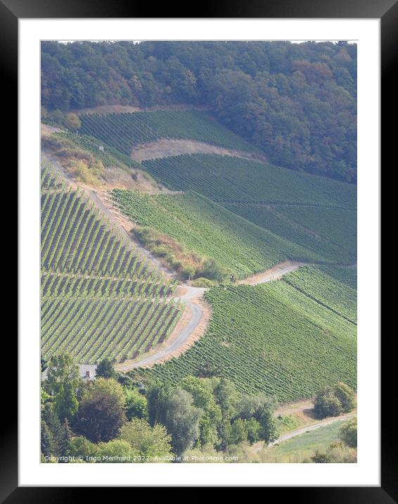 An aerial view of the green rows of plantations Framed Mounted Print by Ingo Menhard