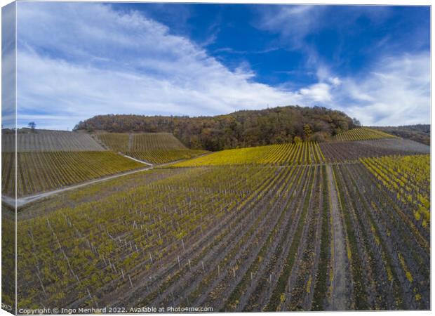 A beautiful view of the rows of vineyards under dramatic sky Canvas Print by Ingo Menhard