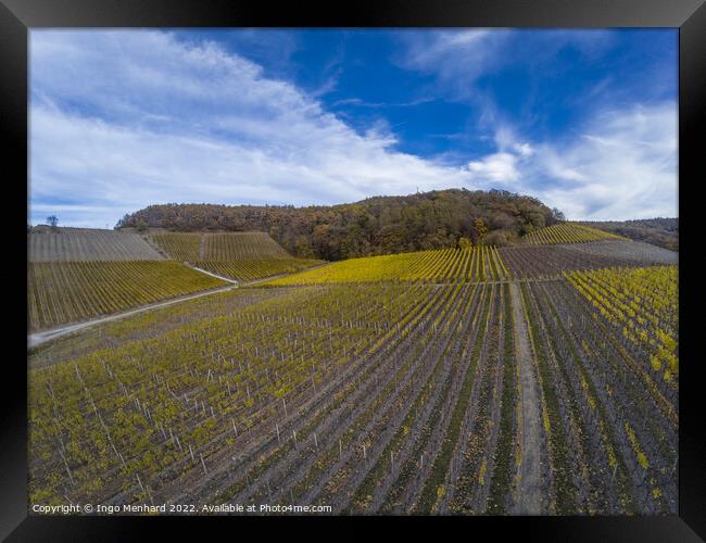 A beautiful view of the rows of vineyards under dramatic sky Framed Print by Ingo Menhard
