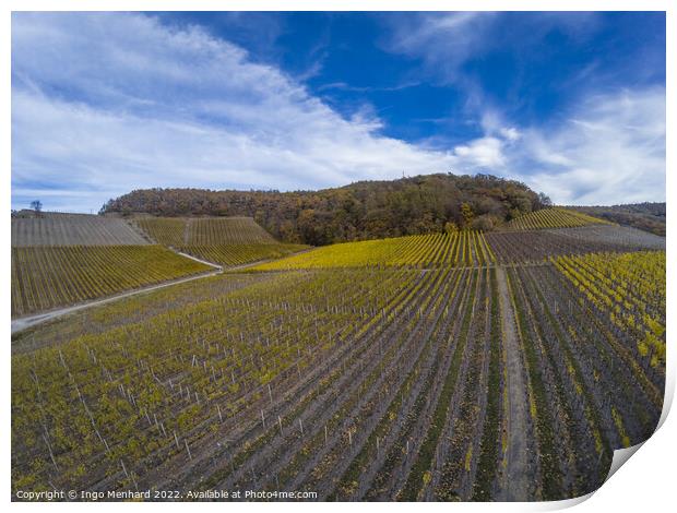 A beautiful view of the rows of vineyards under dramatic sky Print by Ingo Menhard