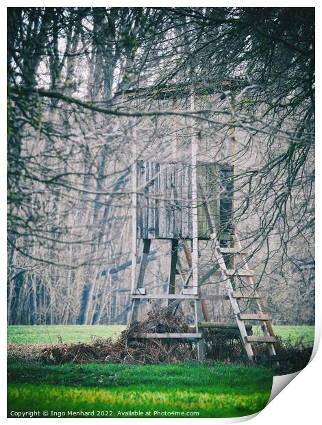 Wooden hunter seat hidden behind tree branches Print by Ingo Menhard