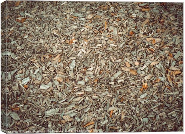 Dried plants on the ground in autumn weather Canvas Print by Ingo Menhard