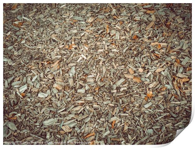 Dried plants on the ground in autumn weather Print by Ingo Menhard