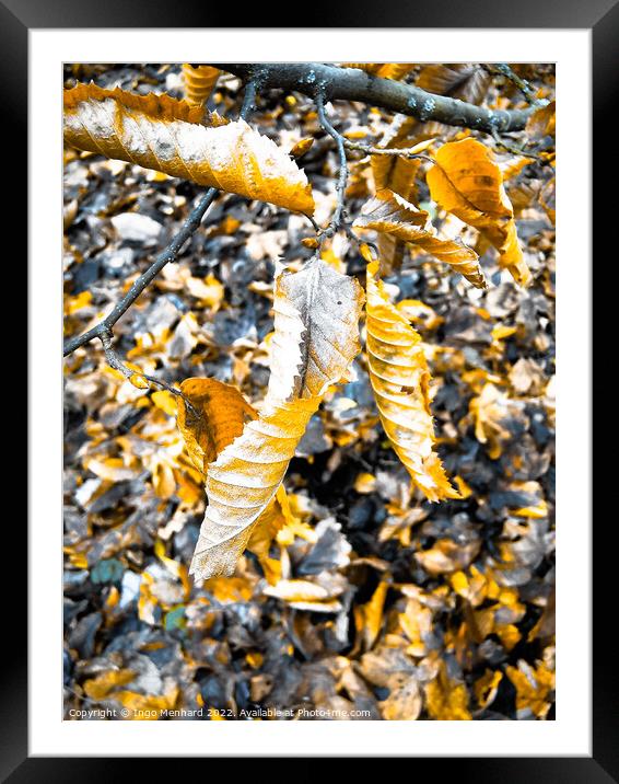 Vertical shot of a chopped tree branch on the ground with dry autumn foliage Framed Mounted Print by Ingo Menhard