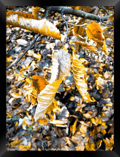 Vertical shot of a chopped tree branch on the ground with dry autumn foliage Framed Print by Ingo Menhard