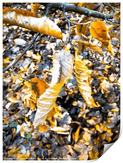 Vertical shot of a chopped tree branch on the ground with dry autumn foliage Print by Ingo Menhard