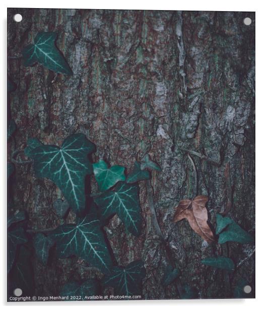 Matte leafs in front of a wooden tree trunk background Acrylic by Ingo Menhard
