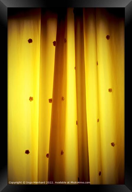 Yellow shining curtain with roses on it Framed Print by Ingo Menhard