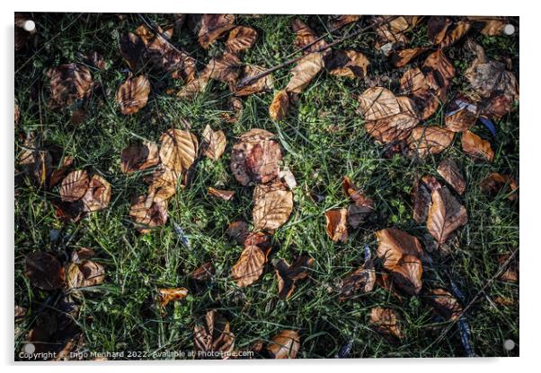 Top view of fallen dry leaves on the ground Acrylic by Ingo Menhard