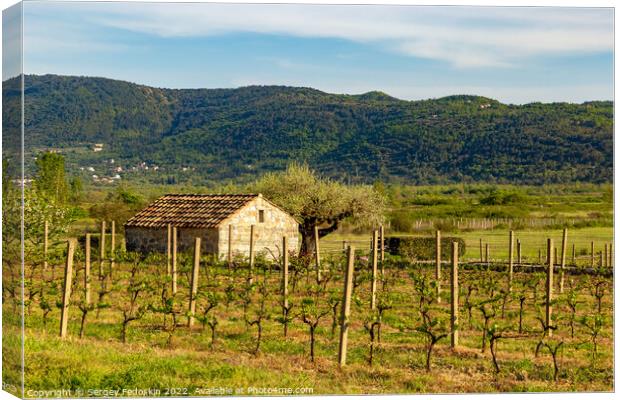 Barn in vineyard in croatian valley. Early summer. Canvas Print by Sergey Fedoskin