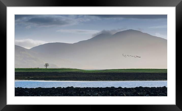 A lonely tree Framed Mounted Print by Leighton Collins