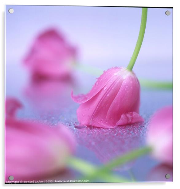 Pink tulips put on a table. Acrylic by Bernard Jaubert