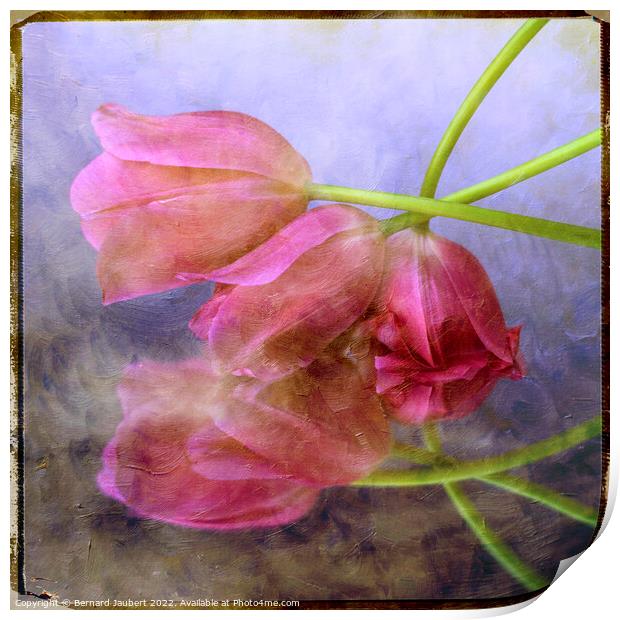 Pink tulips Print by Bernard Jaubert
