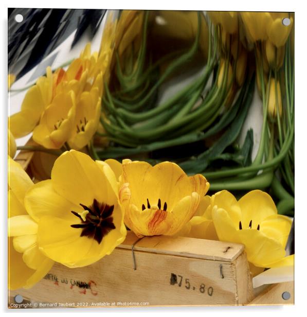 Bunch of yellow tulips Acrylic by Bernard Jaubert