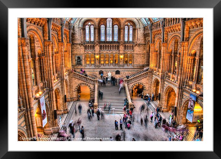 Natural History Museum in Action Framed Mounted Print by Christine Johnson