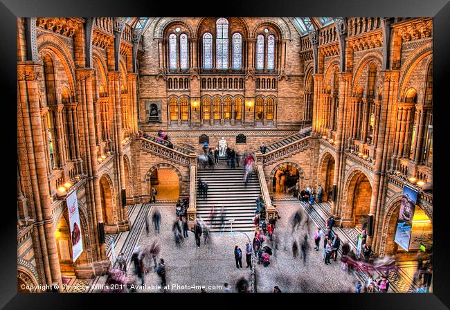 Natural History Museum in Action Framed Print by Christine Johnson