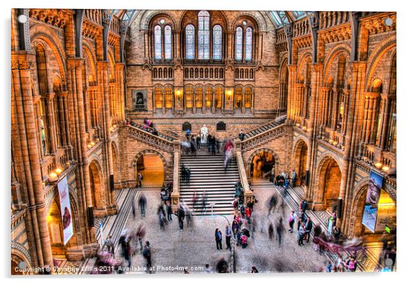 Natural History Museum in Action Acrylic by Christine Johnson